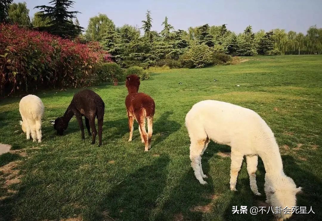 13位明星的北京豪宅，3亿四合院，住在故宫旁，客厅值3千万